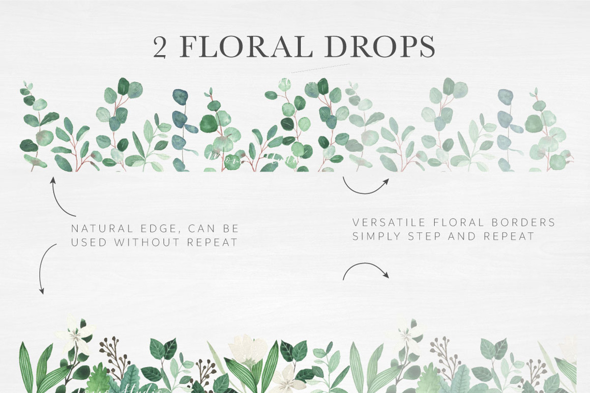 Modern Botanicals Florals & Leaves, an Illustration by Momo Studio (Photo 11 of 15)