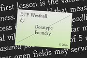 DTF Westhall, a Serif Font by Dora Typefoundry (Thumbnail 4 of 12)