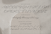 Classthy Theriond Chic Calligraphy, a Script Font by Storytype Studio (Thumbnail 13 of 15)