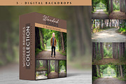 Wooded Roads - Digital Backdrops, a Texture Graphic by DareToDream (Thumbnail 1 of 3)