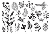 Hand drawn Floral Clipart Collection, a Background Graphic by IRSYART (Thumbnail 11 of 18)