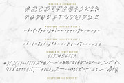 Westbury Signature, a Script Font by Fontsgood (Thumbnail 5 of 7)