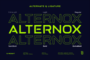 Alternox Fonts Famliy, a Sans Serif Font by Asenbayu (Thumbnail 14 of 14)