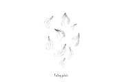 Malva (Mallow) Hand Sketches, an Object Graphic by VictoriaKStudio (Thumbnail 7 of 8)