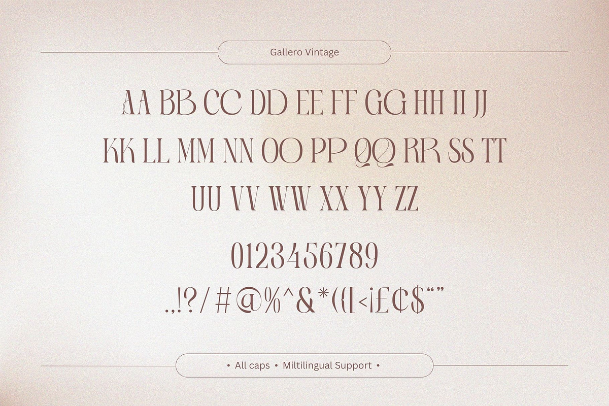 Gallero Vintage - Serif Display, a Serif Font by Nirmana Visual (Photo 6 of 10)