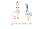 chickens and geese watercolor, an Animal Illustration by JuliaFast (Thumbnail 3 of 3)
