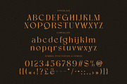 Delinoswa, a Serif Font by Cruzine (Thumbnail 5 of 8)