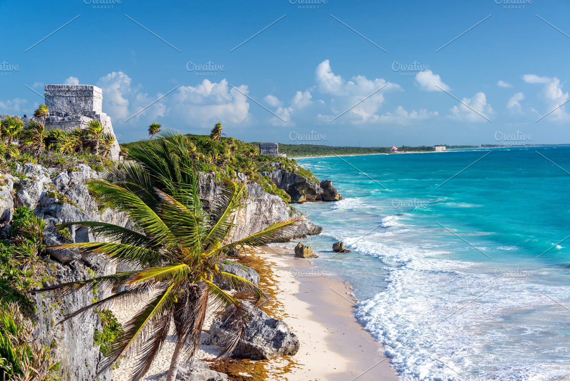 Tulum Ruins and Palm Tree, a Nature Photo by JK Travel Photos