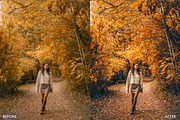 FALL PRESETS for Autumn Photos, a Preset Add-On by AAA Presets (Thumbnail 18 of 22)