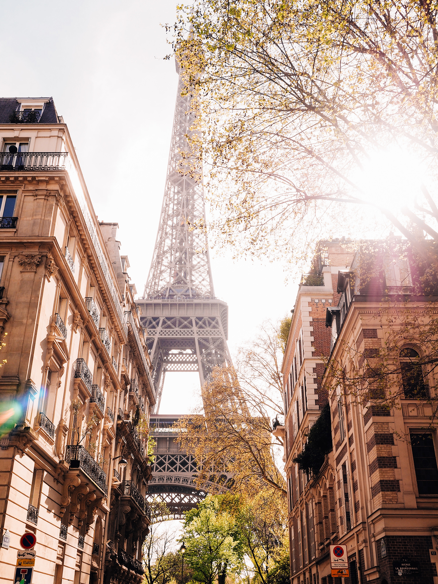 Paris Eiffel Tower, a Photo by Peonies & Paris