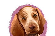 Dogs Pet Portraits Art Print Set 23, an Animal Illustration by Dneprstock (Thumbnail 4 of 5)