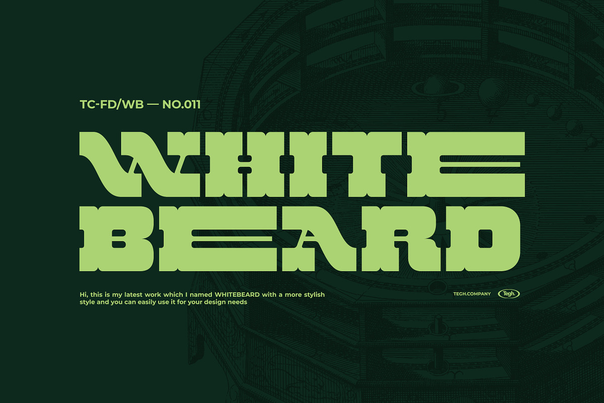 WHITEBEARD DISPLAY, a Font by Tegh co. (Photo 1 of 12)