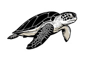50 Sea Turtle Vector Silhouette Bund, an Illustration by jahid234 (Thumbnail 43 of 51)