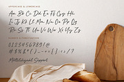 Roasted Bailey - Handwritten Script, a Handwritten Font by Timurtype (Thumbnail 6 of 7)