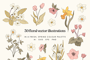 Spring Floral Vector Illustrations, a Decorative Illustration by Emma Webb Studio (Thumbnail 2 of 9)