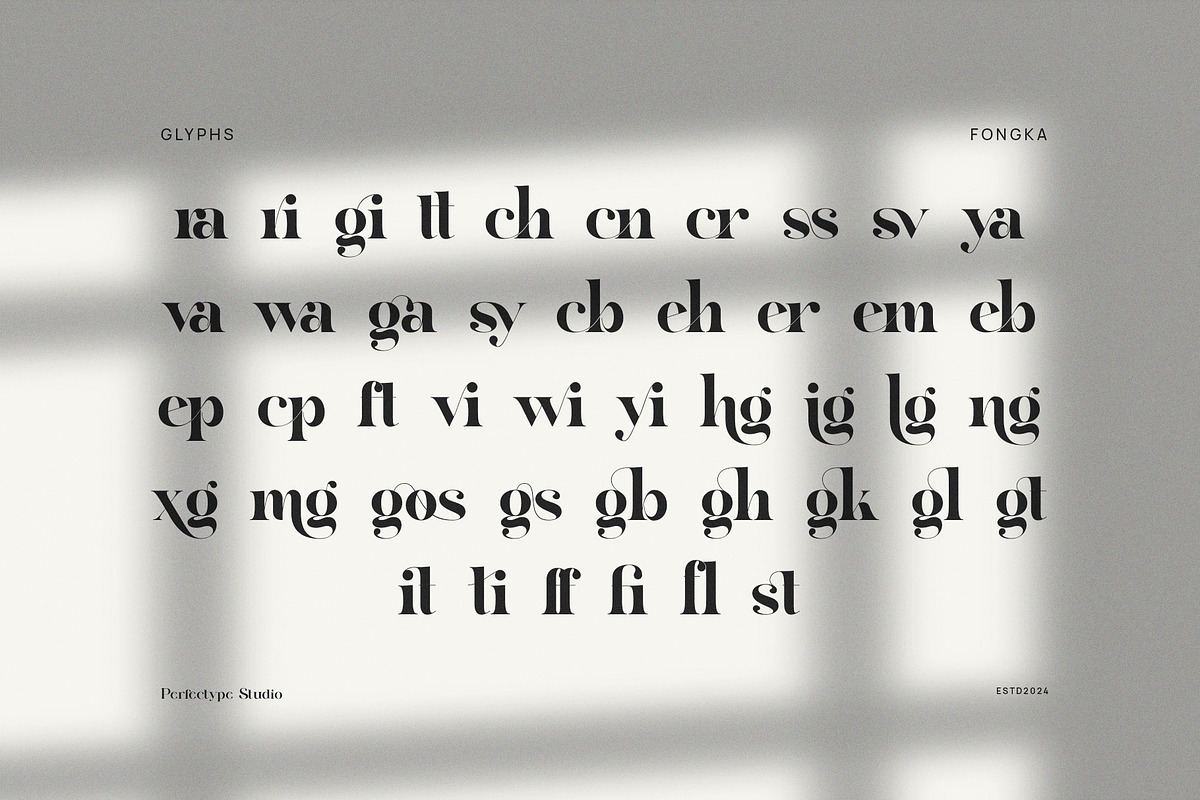 The Fongka Elegant Serif Font, a Serif Font by Perfectype (Photo 8 of 9)