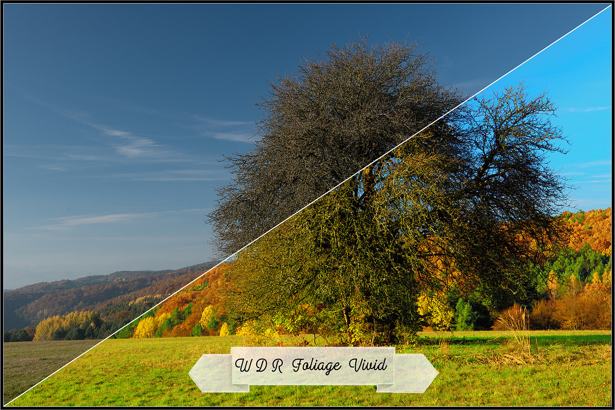 Wide Dynamic Range - Foliage preview 6