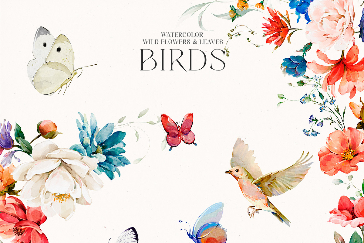 Watercolor Wildflowers & Leaves, a Decorative Illustration by Damian Roh (Photo 14 of 24)