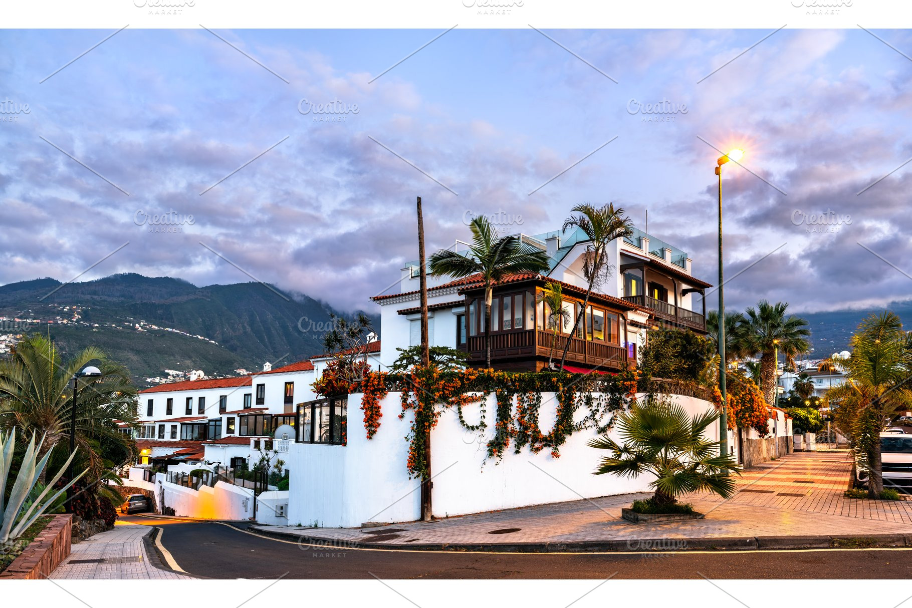 Traditional architecture and palm trees in Puerto de la Cruz, Tenerife, an Architecture Photo by Leonid Andronov