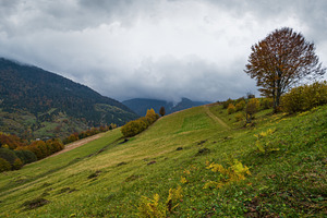 Cloudy and foggy day autumn mountains scene. Peaceful picturesqu, a Nature Photo by YuriyB