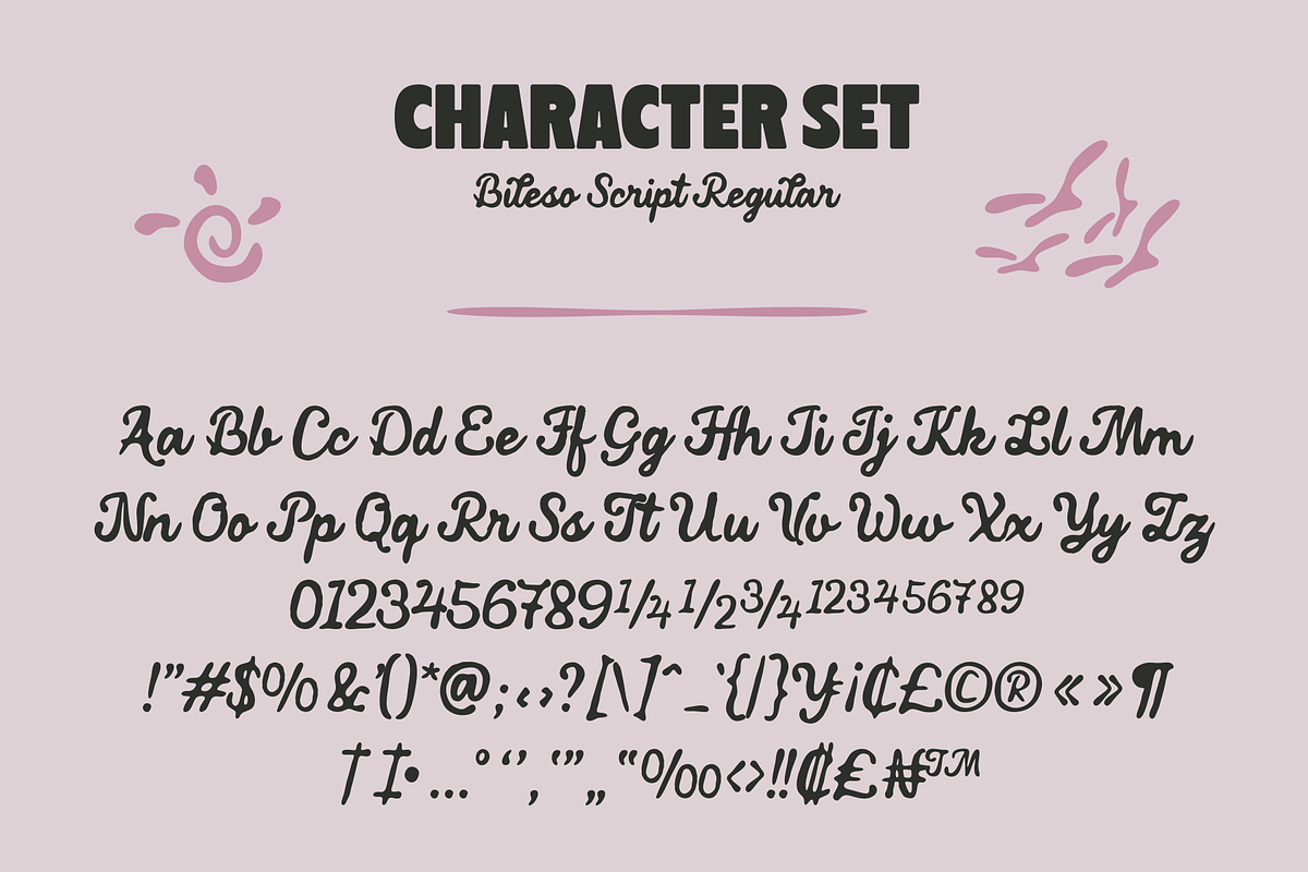 Bileso Script Font, a Script Font by Marvadesign (Photo 8 of 10)