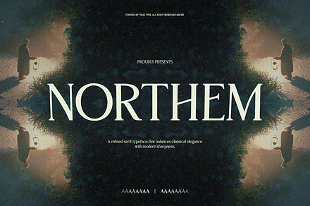 TRT Northem – Elegant Serif Font, a Serif Font by truetype