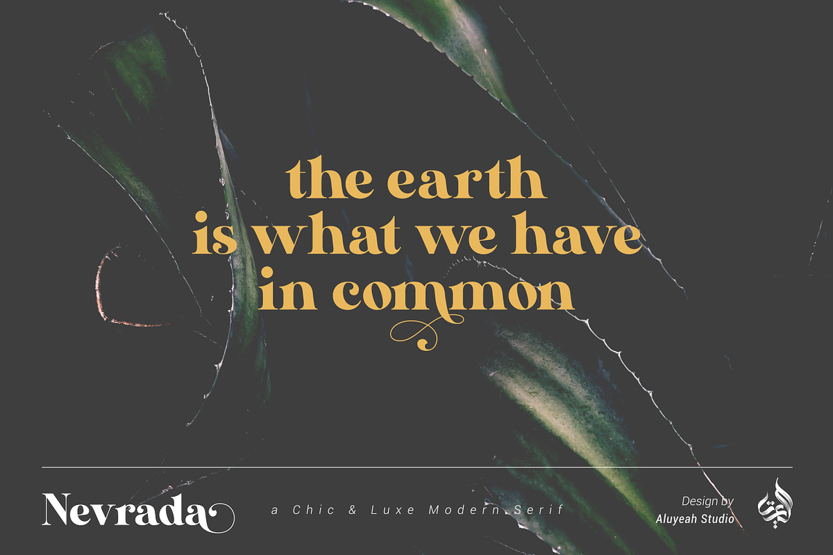 Nevrada Modern Display Font, a Font by Aluyeah Studio (Photo 6 of 12)