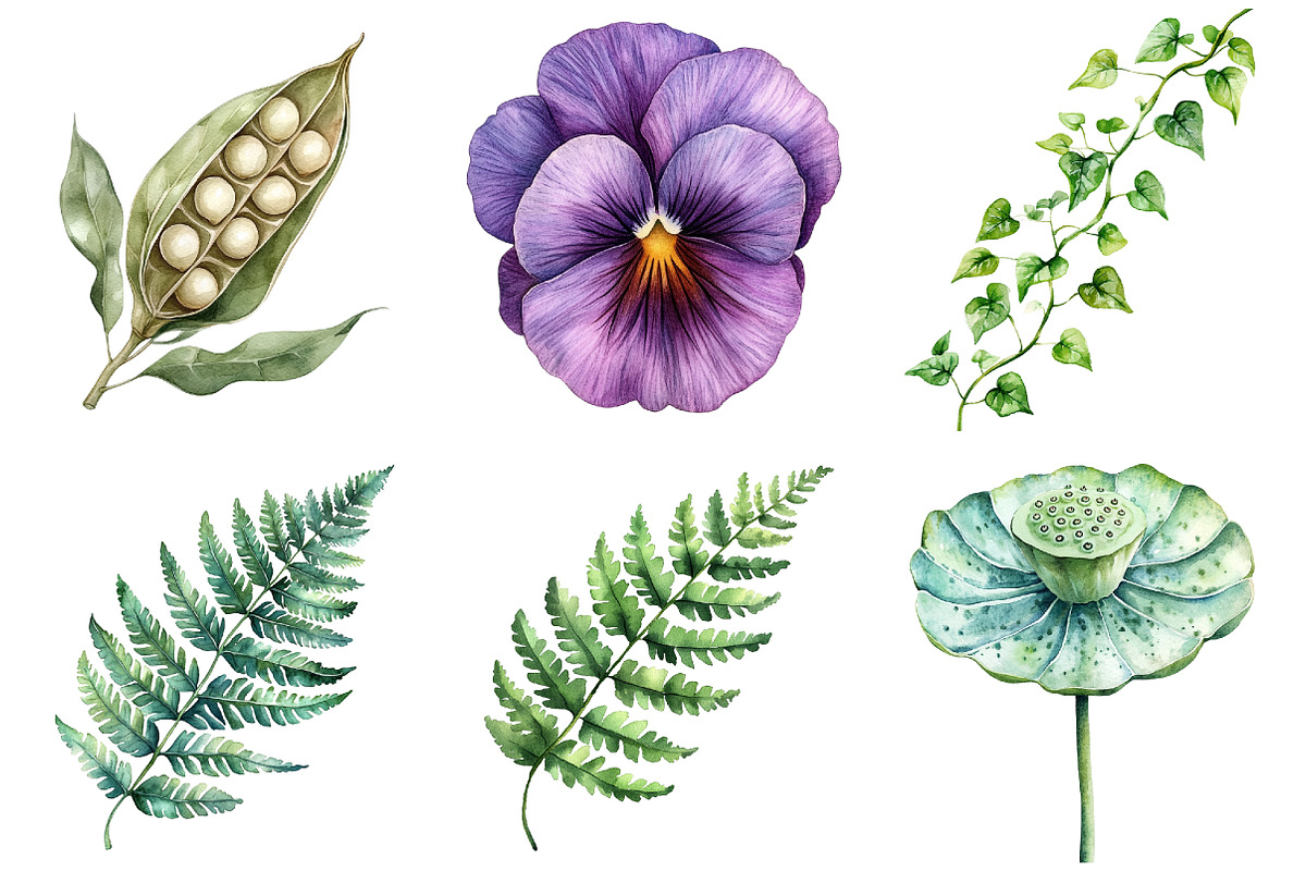 Watercolor Vintage Botanical Clipart, a Seasonal Illustration by CitraGraphics (Photo 3 of 9)