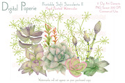Digital Watercolor Succulents II, an Illustration by Digital Paperie (Thumbnail 1 of 2)
