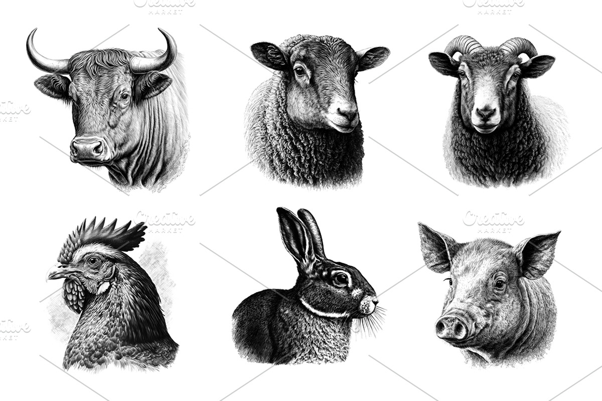 Famr Animals - illustrations, an Animal Illustration by Graxaim Mock-up (Photo 3 of 4)