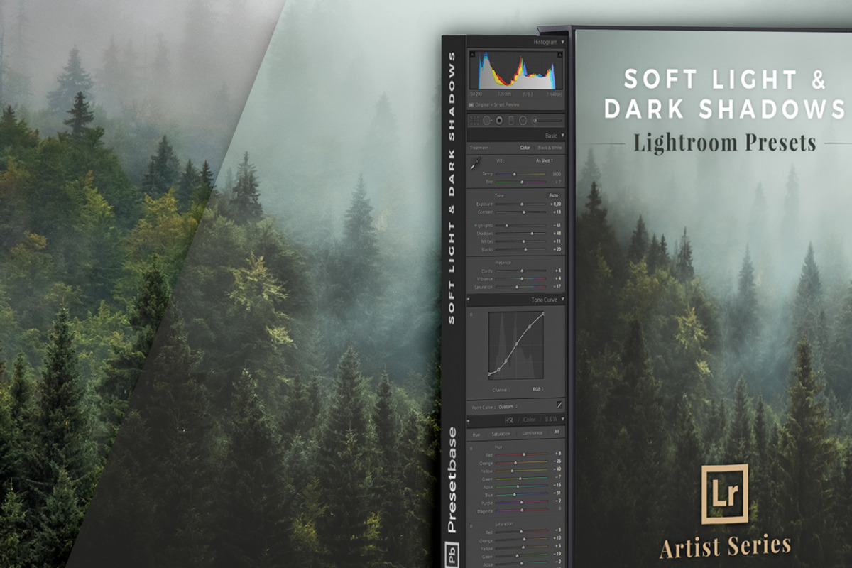 Moody Lightroom Presets - Soft Light, an Action Add-On by PhotoMarket (Photo 33 of 33)