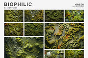 80 Biophilic backgrounds, a Background Graphic by Polli Deeva (Thumbnail 7 of 16)