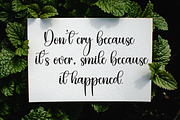 Starkly | Script Font, a Handwritten Font by Scratchones (Thumbnail 3 of 9)