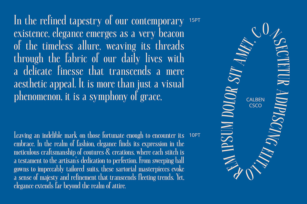 Calben – Elegant Font, a Serif Font by Craft Supply Co. (Photo 6 of 8)