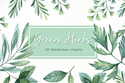Green Herbs Watercolor clipart, a Food Illustration by everysunsun (Thumbnail 2 of 5)