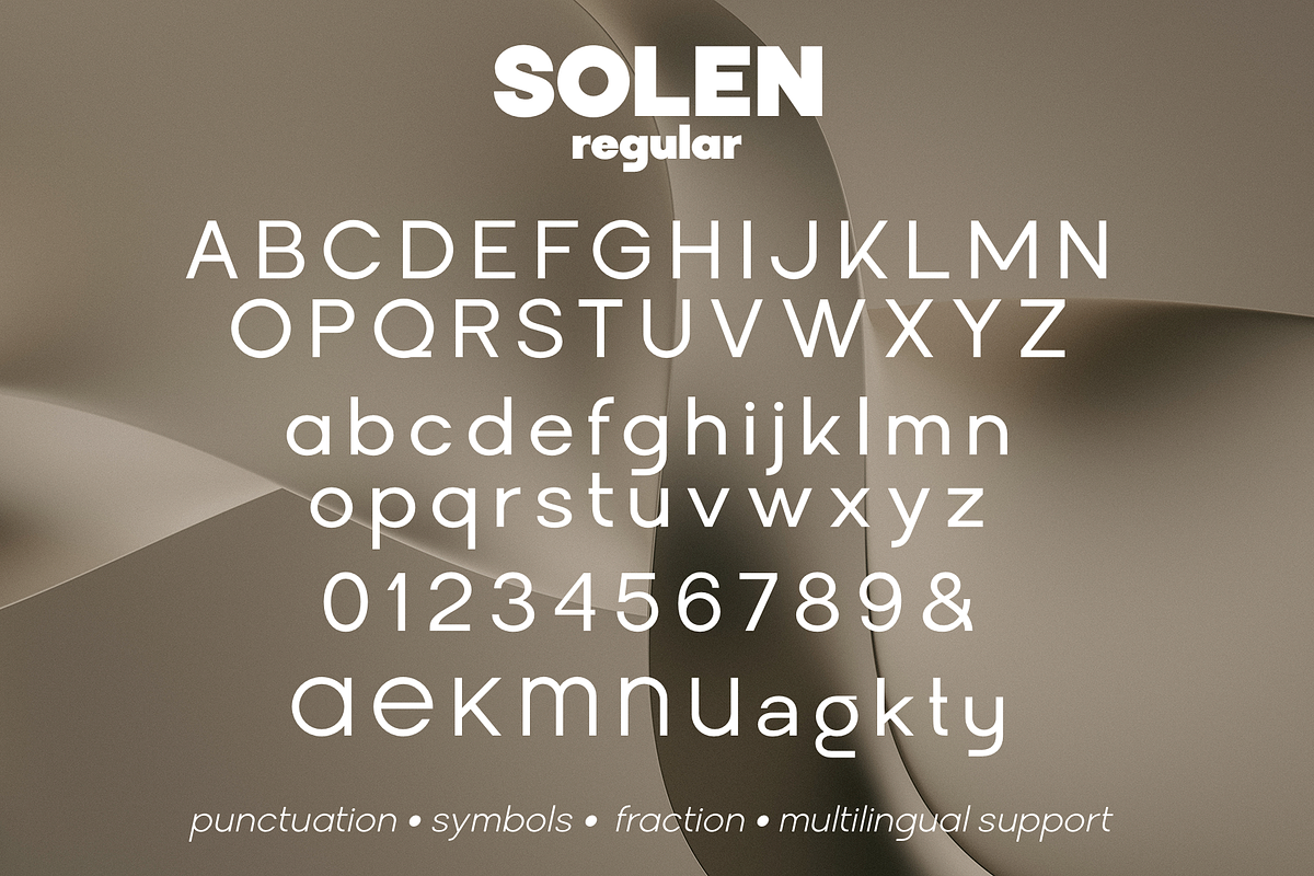 Solen Font Family, a Sans Serif Font by Larin Type Co. (Photo 14 of 14)