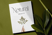 CANOVER | Ligature Serif, a Serif Font by ToniStudio (Thumbnail 5 of 11)
