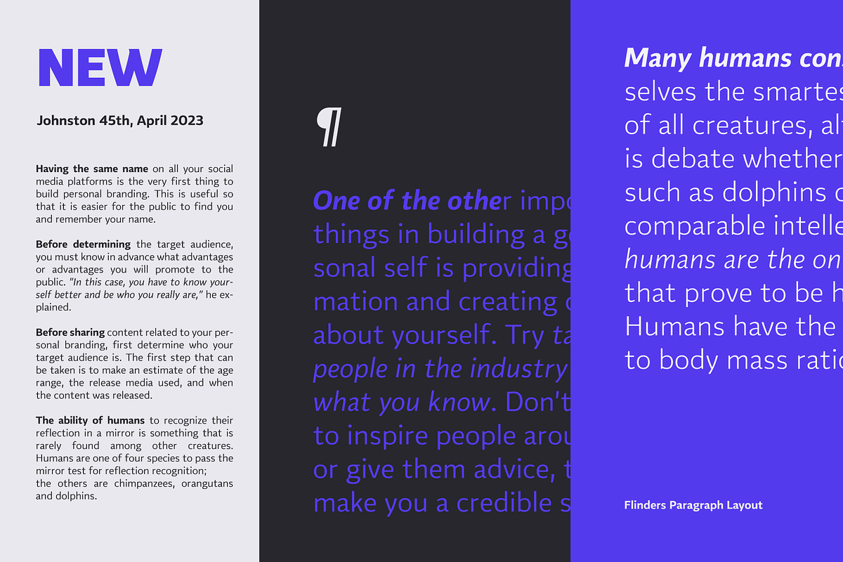 Flinders; Sans Font Family, a Sans Serif Font by Eko Bimantara (Photo 11 of 13)