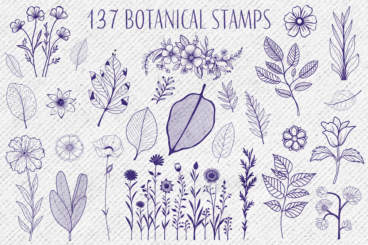 137 Botanical Stamps For Procreate, a Brush Add-On by Nuclear Brushes (Photo 10 of 10)