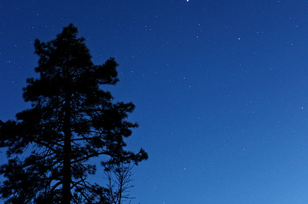 Stars at Dusk