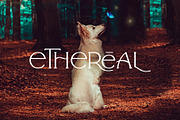 Arrogant Font, a Serif Font by Graphicdome (Thumbnail 20 of 24)