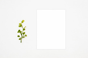 Mockup, Clean White Natural Mockups