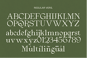 Arthouse Cinema, a Serif Font by zeenesia (Thumbnail 14 of 16)
