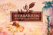 Herbarium. Watercolor Textures., a Texture Graphic by AlexGreenArt (Thumbnail 1 of 9)