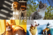 10 Pets Lightroom Presets for Mobile, a Preset Add-On by RamsaGraphi (Thumbnail 1 of 10)