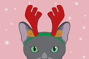 Christmas 9x Cat Breeds, an Animal Illustration by asantosg (Thumbnail 7 of 10)