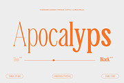 TBJ Malta 9-Font Family, a Serif Font by Taboja Studio (Thumbnail 13 of 16)