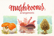 MUSHROOMS WATERCOLOR CLIPART SET, a Food Illustration by Art & Things (Thumbnail 3 of 5)
