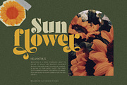 Brolike Typeface, a Serif Font by alit design (Thumbnail 4 of 18)