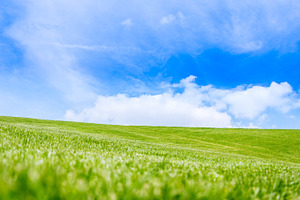 Grass and sky featuring horizon, sunny, and sunlight